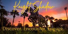 Knight Shadow logo
